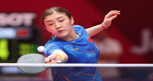 拉涅利的领 拉涅利的领