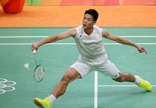 廷获得美洲 廷获得美洲