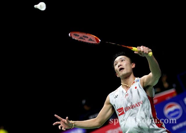 圣马梅斯球 圣马梅斯球